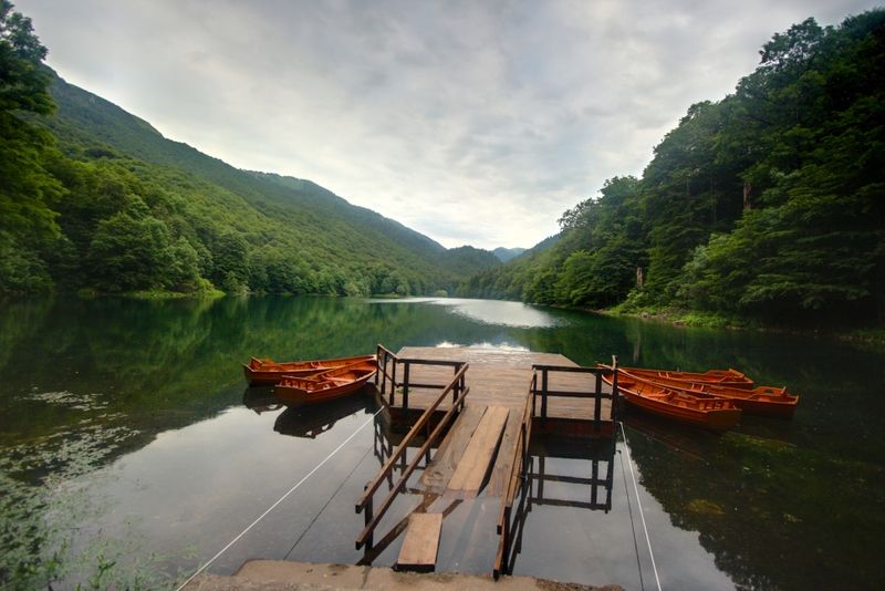 Biogradska Gora montenegro national park